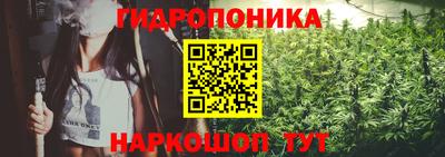 mdpv Гай