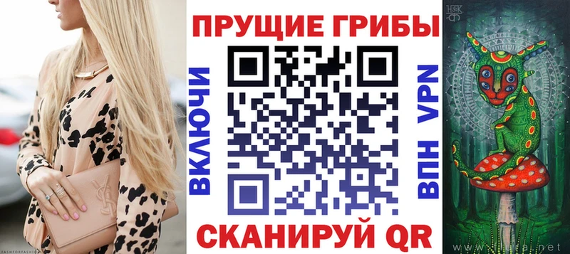Псилоцибиновые грибы прущие грибы  Стрежевой 