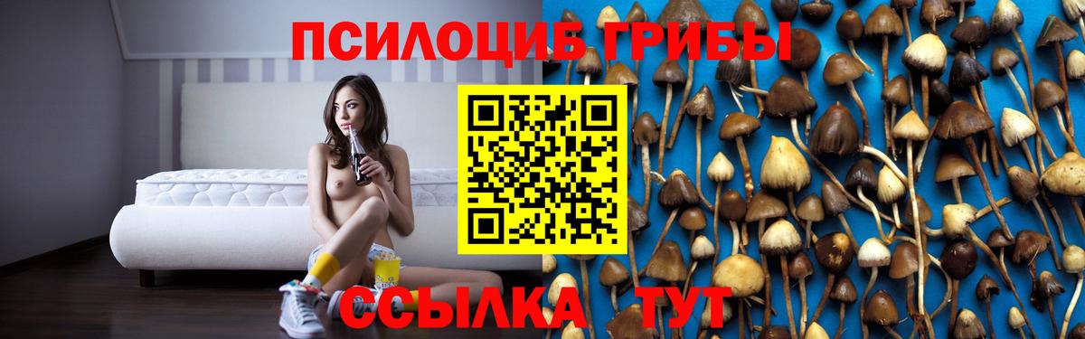 Стрежевой  Псилоцибиновые грибы прущие грибы  Вход с VPN  Псилоцибиновые грибы Cubensis 
