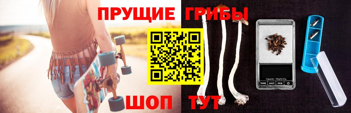 Галлюциногенные грибы Cubensis Стрежевой